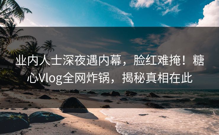 业内人士深夜遇内幕，脸红难掩！糖心Vlog全网炸锅，揭秘真相在此